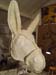 DSC00390